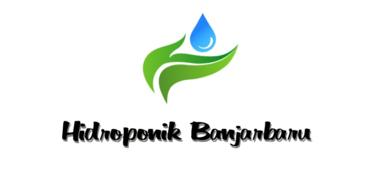 Hidroponik Banjarbaru